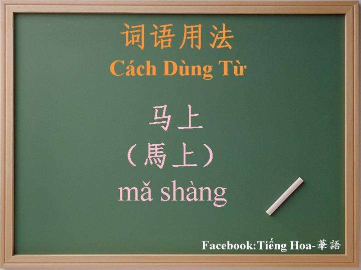 gia sư, dạy kèm